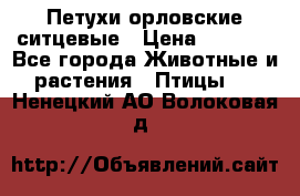 Петухи орловские ситцевые › Цена ­ 1 000 - Все города Животные и растения » Птицы   . Ненецкий АО,Волоковая д.
